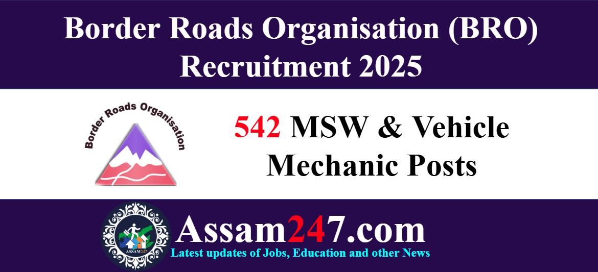 Border Roads Organisation (BRO) Recruitment 2025 – 542 MSW & Vehicle Mechanic Posts